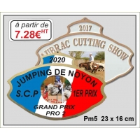 PLAQUE METAL RELIEF REF PM5